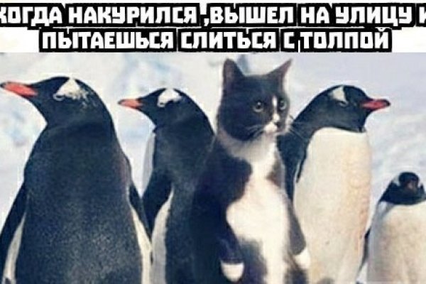 Ссылка в магазин на кракен