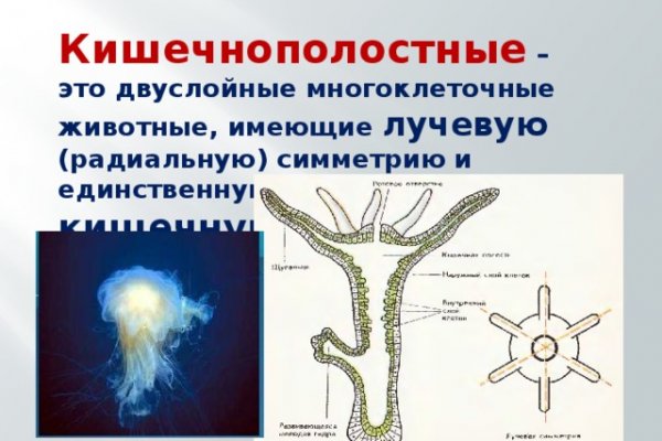 Кракен даркнет официальный