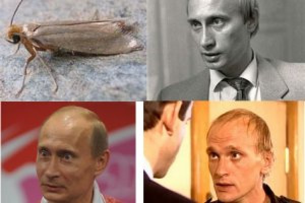 Тор кракен диспут